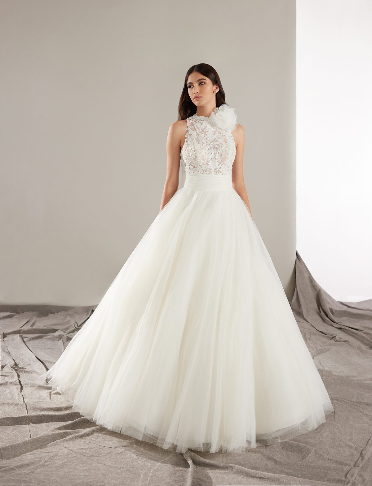 Pronovias Major 2025