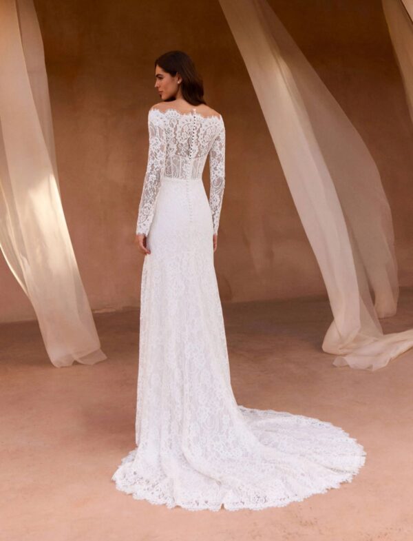 pronovias-2027-velyne-schiena-pizzo-ricamato Abito da sposa Pronovias Velyne